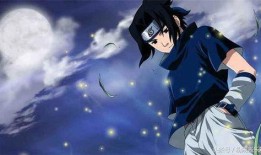 忍界佐助爆料视频大全集,揭秘宇智波家族秘辛与忍者世界风云