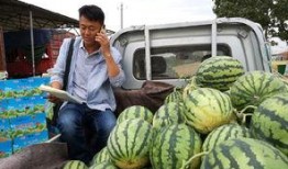 诸暨网红吃瓜事件真相揭秘,揭秘背后真相与争议