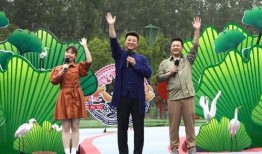 鲁山深夜爆料视频最新,惊人内幕引发热议